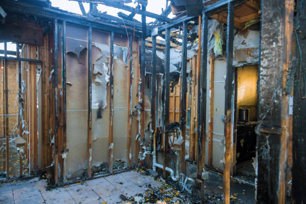 Professional Fire Damage Removal technician working in Ormond Beach, FL